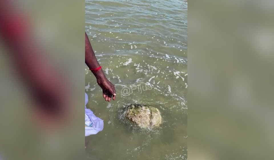 The Floating Stones of Rameswaram – What Is the Story Behind the Stones That Appear to Float?