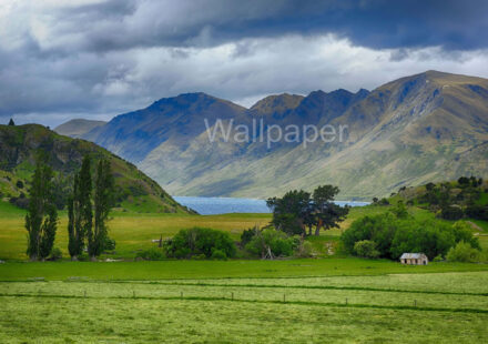 New Zealand quiet road and beautiful countryside