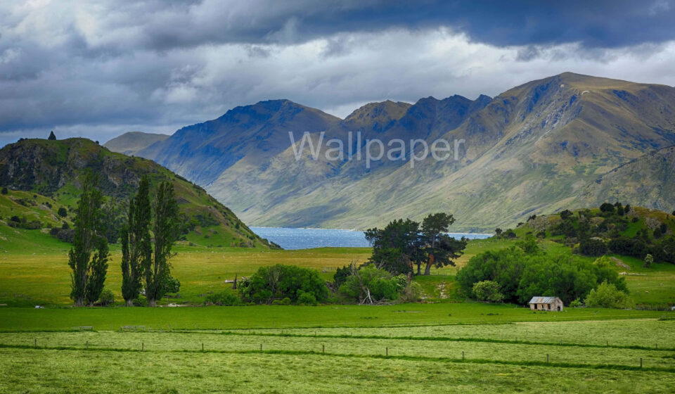 How Does the New Zealand Low Population Lifestyle Work? New Zealand quiet road and beautiful countryside